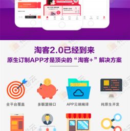 原生淘客APP源碼開(kāi)發(fā)與花卷云鄭州軟件定制服務(wù)