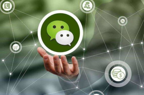 鄭州小程序開(kāi)發(fā)的優(yōu)勢(shì)與價(jià)值